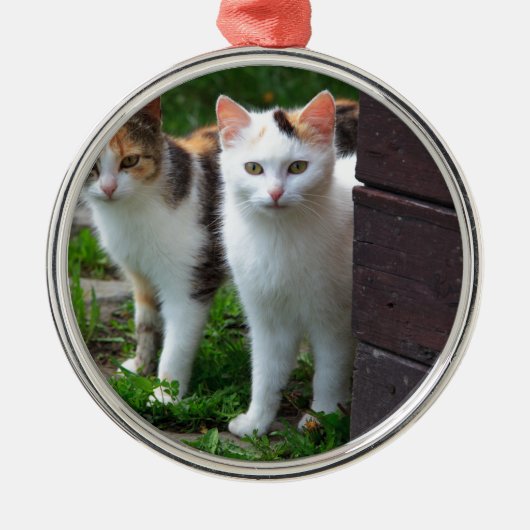 Uitspelen van katten metalen ornament (Voorkant)