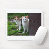 Uitspelen van katten muismat (Met muis)