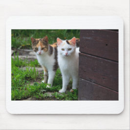 Uitspelen van katten muismat