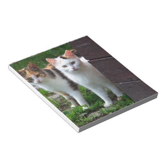 Uitspelen van katten notitieblok (Schuin)