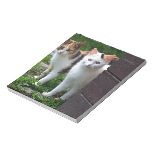 Uitspelen van katten notitieblok (Linkerzijde)