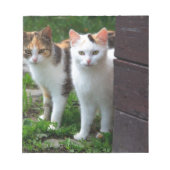 Uitspelen van katten notitieblok (Voorkant)