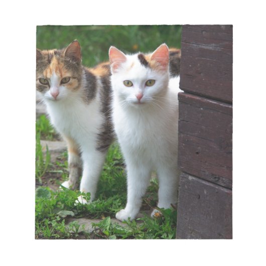 Uitspelen van katten notitieblok (Voorkant)