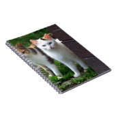 Uitspelen van katten notitieboek (Rechterzijde)