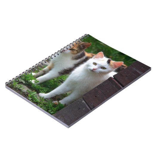 Uitspelen van katten notitieboek (Linkerzijde)