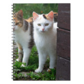 Uitspelen van katten notitieboek (Voorkant)