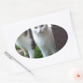 Uitspelen van katten ovale sticker (Envelop)
