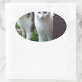 Uitspelen van katten ovale sticker (Tas)