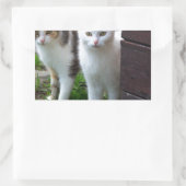 Uitspelen van katten rechthoekige sticker (Tas)