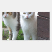 Uitspelen van katten rechthoekige sticker (Voorkant)