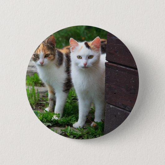 Uitspelen van katten ronde button 5,7 cm (Voorkant)