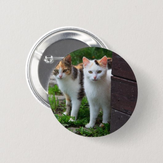 Uitspelen van katten ronde button 5,7 cm (Voorkant /achterkant)