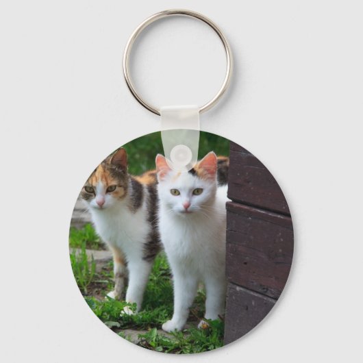 Uitspelen van katten sleutelhanger (Voorkant)