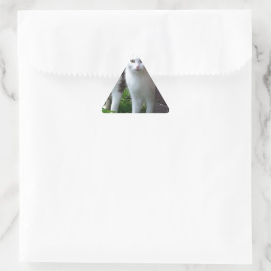 Uitspelen van katten sticker (Tas)