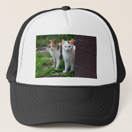 Uitspelen van katten trucker pet (Voorkant)