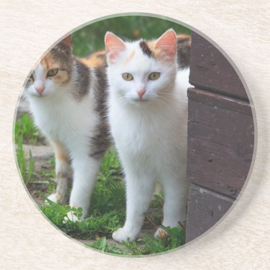 Uitspelen van katten zandsteen onderzetter (Voorkant)