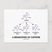 Uitsplitsing van cafeïne (chemische moleculen) briefkaart (Voorkant)