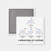 Uitsplitsing van cafeïne (chemische moleculen) magneet (Voorkant / Achterkant)