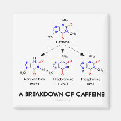 Uitsplitsing van cafeïne (chemische moleculen) magneet (Voorkant)