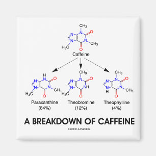 Uitsplitsing van cafeïne (chemische moleculen) magneet