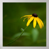 Uitstekend afdrukken poster (Voorkant)