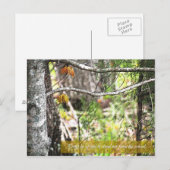 Uitstekend Briefkaart (Voorkant / Achterkant)