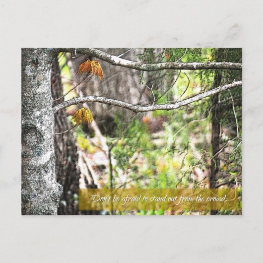 Uitstekend Briefkaart (Voorkant)