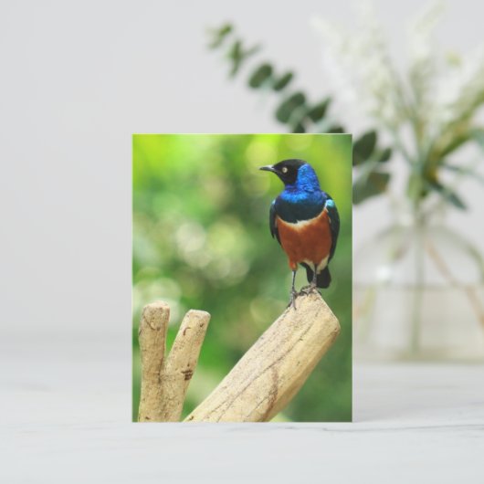 Uitstekend Briefkaart (Staand voorkant)