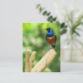 Uitstekend Briefkaart (Staand voorkant)