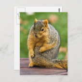 Uitstekend Briefkaart (Voorkant / Achterkant)