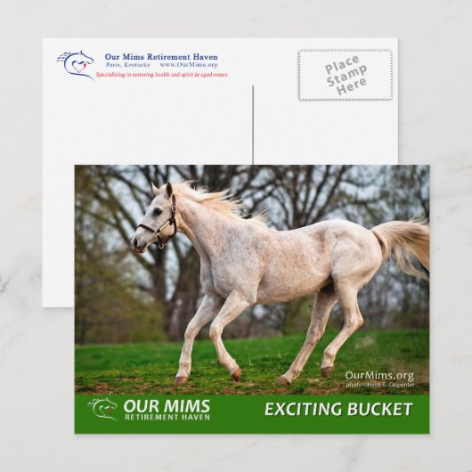 Uitstekend briefkaart Emmer (Voorkant / Achterkant)