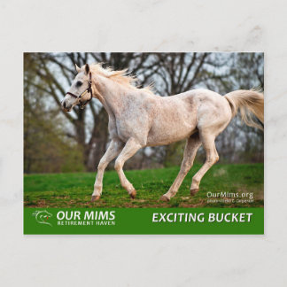 Uitstekend briefkaart Emmer