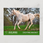 Uitstekend briefkaart Emmer (Voorkant)