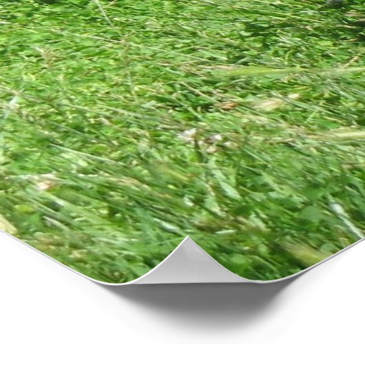 Uitstekend in zijn veld Fotoafdrukken Poster (Hoek)