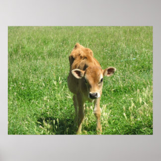 Uitstekend in zijn veld Fotoafdrukken Poster