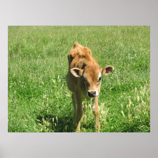 Uitstekend in zijn veld Fotoafdrukken Poster (Voorkant)