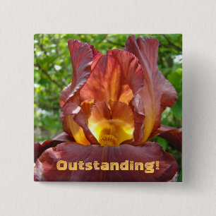 Uitstekend! knop Iris Bloemen School Leraren Vierkante Button 5,1 Cm