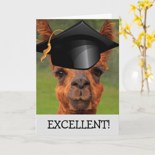 Uitstekend Llama-Afstuderen Kaart (Gele Bloem)