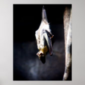 Uitstekend Poster (Voorkant)