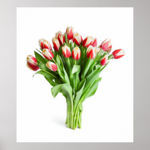 Uitstekend Poster van Flowers - Tulpen