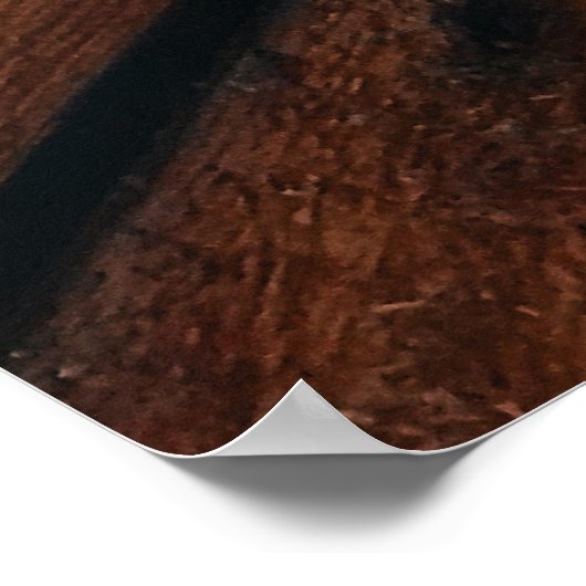 Uitstekend Poster voor oraal gebruik (Hoek)