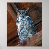 Uitstekend Poster voor oraal gebruik (Voorkant)