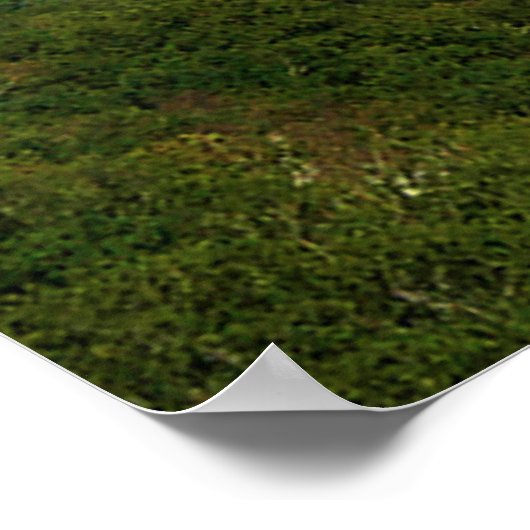 Uitstekend Uitzicht Poster (Hoek)