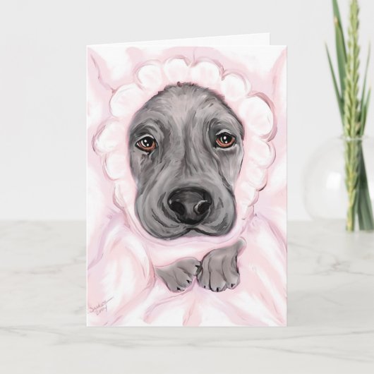 Uitstekende aankondigingen van het zwarte meisje v (Voorkant)