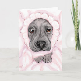 Uitstekende aankondigingen van het zwarte meisje v