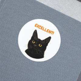 Uitstekende aanmoediging voor kattendocenten ronde sticker