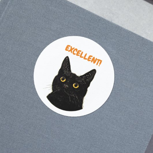Uitstekende aanmoediging voor kattendocenten ronde sticker