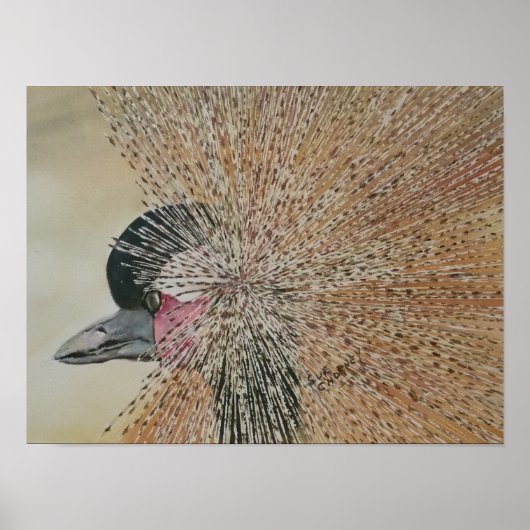 Uitstekende Afrikaanse kraanvogel Poster (Voorkant)