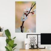 Uitstekende Japanse abrikozenbloemen Poster (Thuiskantoor)