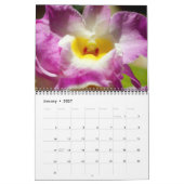 Uitstekende Orchideeën kalender (Jan 2027)